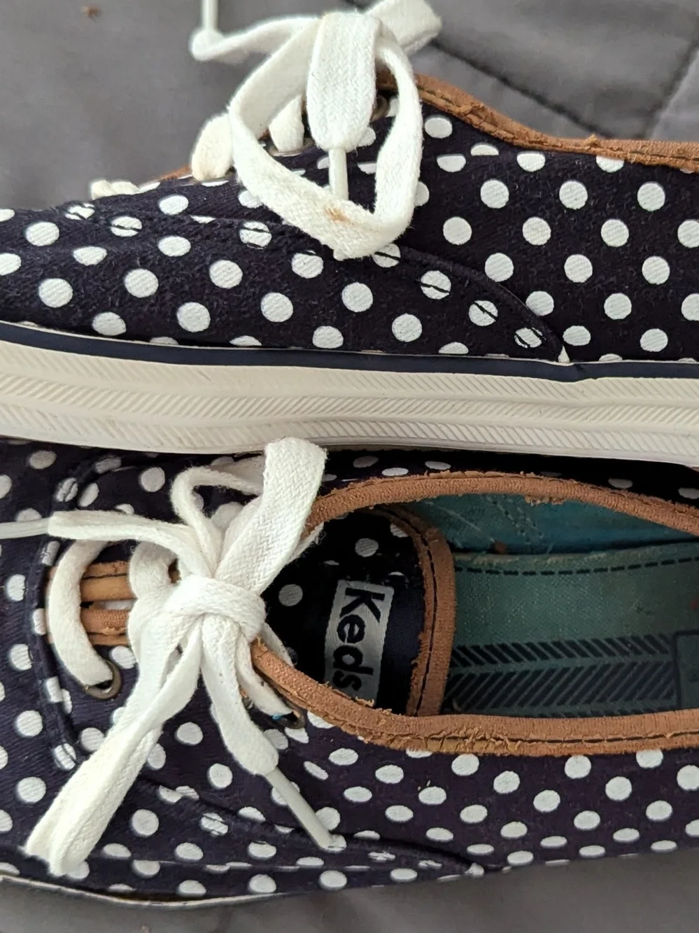 Keds Women's Navy Polka Dot Canvas Sneakers